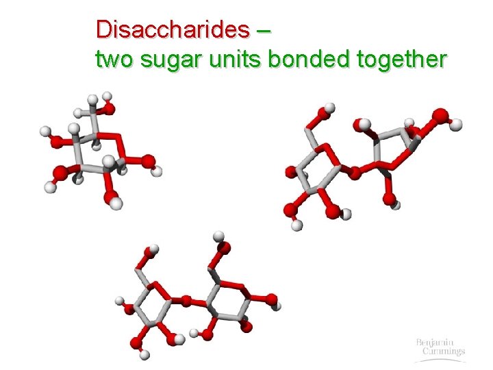 Disaccharides – two sugar units bonded together  Disaccharides – two sugar units bonded together