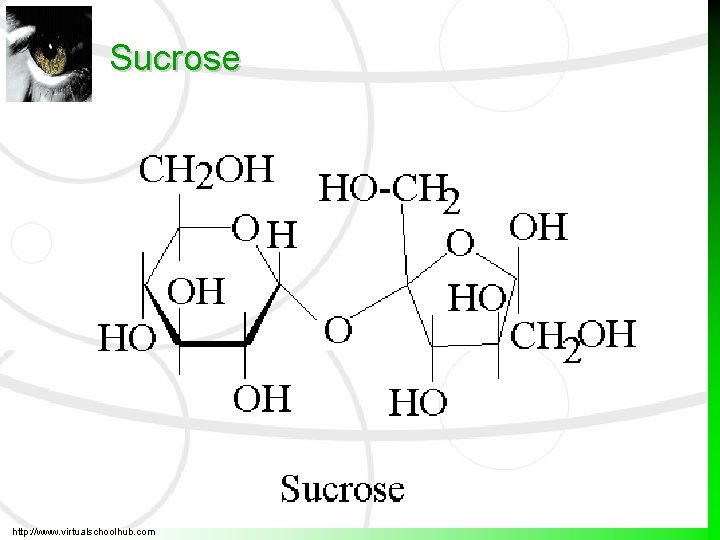 Sucrose http: //www. virtualschoolhub. com  Sucrose http: //www. virtualschoolhub. com