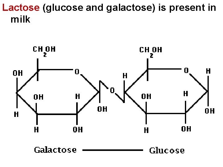 Lactose (glucose and galactose) is present in milk  Lactose (glucose and galactose) is present in milk