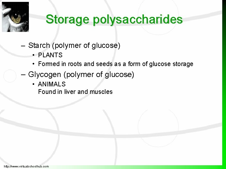 Storage polysaccharides – Starch (polymer of glucose) • PLANTS • Formed in roots and Storage polysaccharides – Starch (polymer of glucose) • PLANTS • Formed in roots and