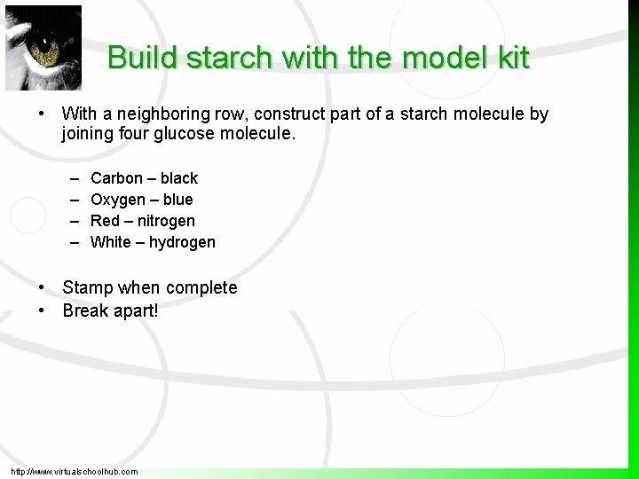 Build starch with the model kit • With a neighboring row, construct part of Build starch with the model kit • With a neighboring row, construct part of