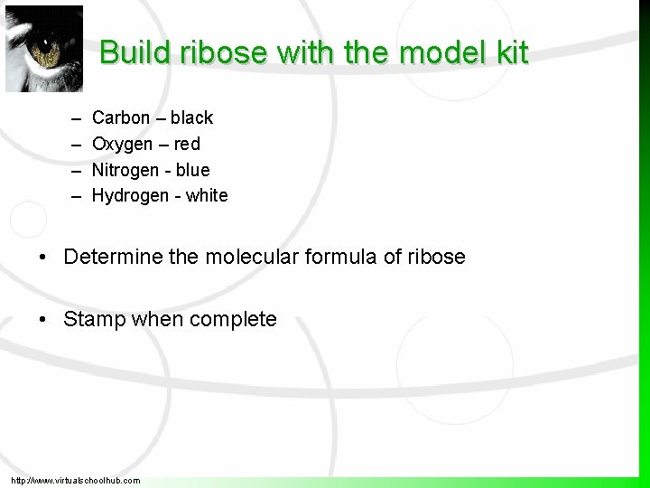 Build ribose with the model kit – – Carbon – black Oxygen – red Build ribose with the model kit – – Carbon – black Oxygen – red