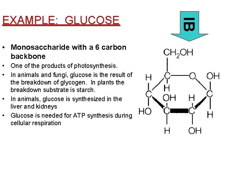 • Monosaccharide with a 6 carbon backbone • One of the products of  • Monosaccharide with a 6 carbon backbone • One of the products of