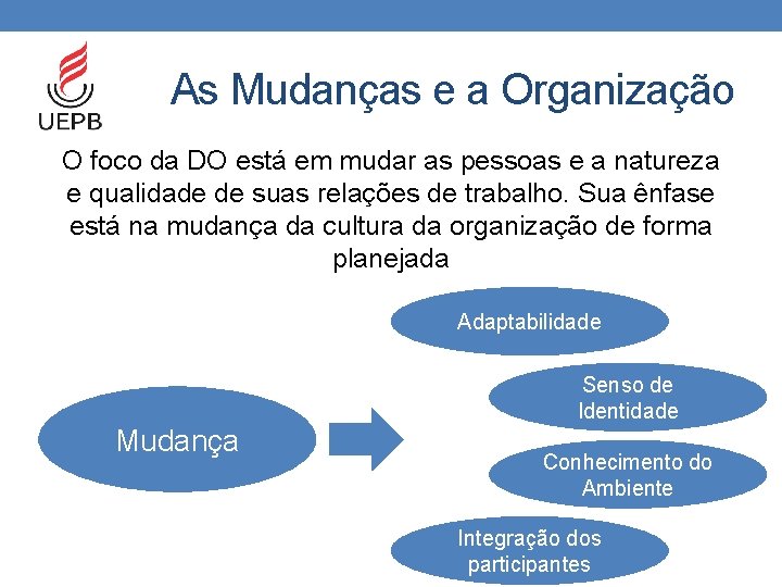 As Mudanças e a Organização O foco da DO está em mudar as pessoas