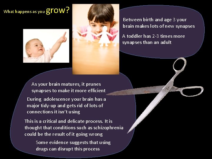 What happens as you grow? Between birth and age 3 your brain makes lots