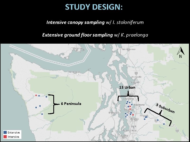 STUDY DESIGN: Intensive canopy sampling w/ I. stoloniferum Extensive ground floor sampling w/ K.