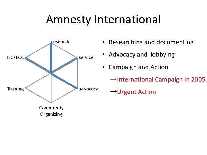 Amnesty International • Researching and documenting research IEC/BCC service • Advocacy and lobbying •