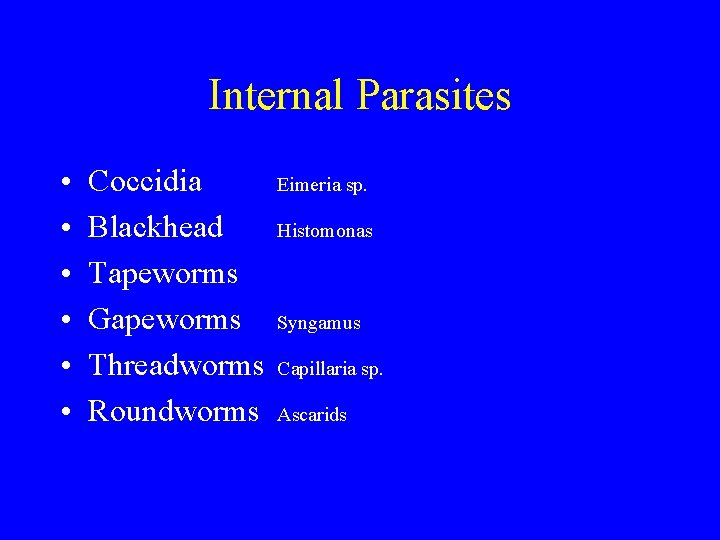 Internal Parasites • • • Coccidia Blackhead Tapeworms Gapeworms Threadworms Roundworms Eimeria sp. Histomonas