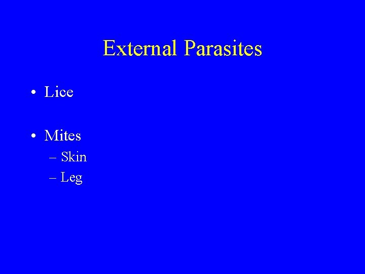 External Parasites • Lice • Mites – Skin – Leg 