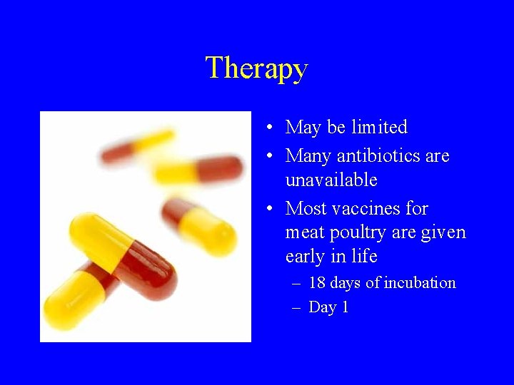 Therapy • May be limited • Many antibiotics are unavailable • Most vaccines for