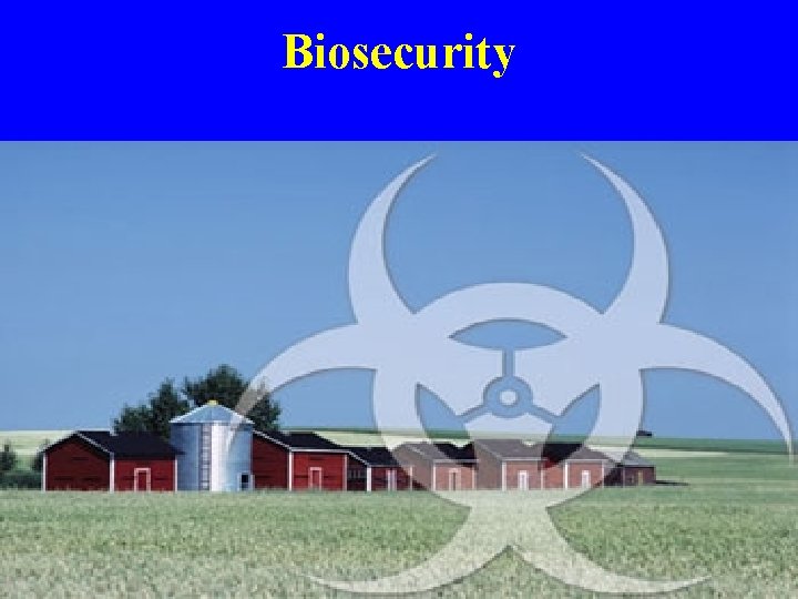 Biosecurity 