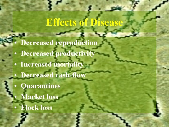 Effects of Disease • • Decreased reproduction Decreased productivity Increased mortality Decreased cash-flow Quarantines