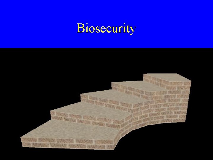 Biosecurity 