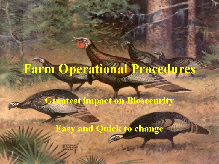 Farm Operational Procedures Greatest impact on Biosecurity Easy and Quick to change 