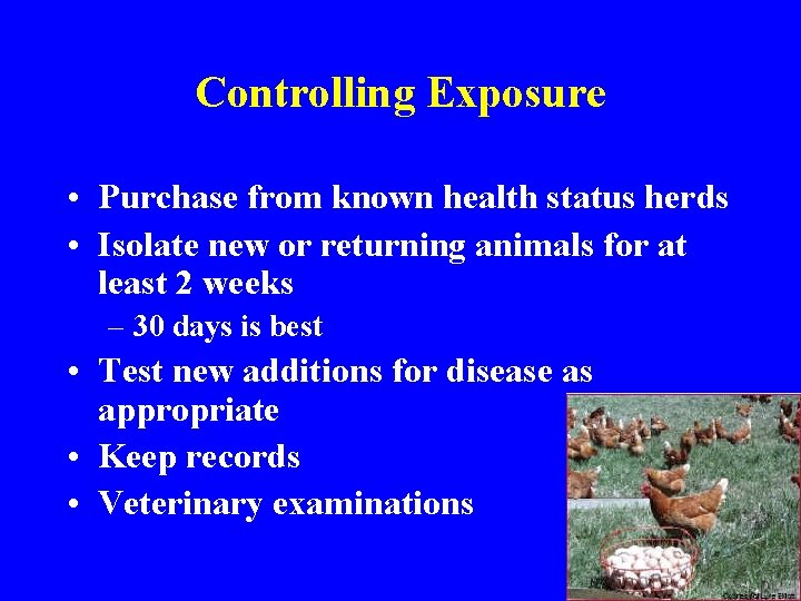 Controlling Exposure • Purchase from known health status herds • Isolate new or returning