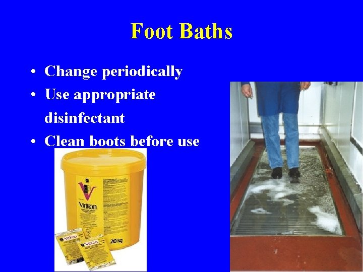 Foot Baths • Change periodically • Use appropriate disinfectant • Clean boots before use
