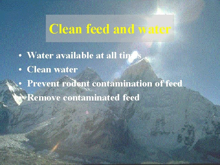 Clean feed and water • • Water available at all times Clean water Prevent