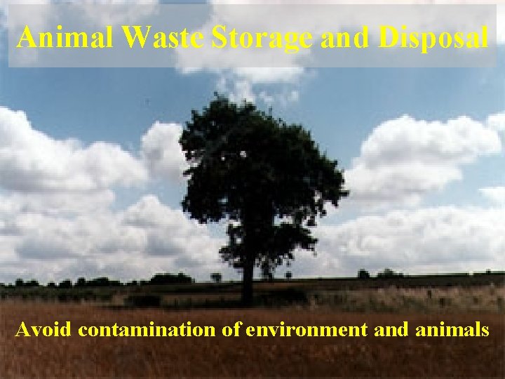 Animal Waste Storage and Disposal Avoid contamination of environment and animals 