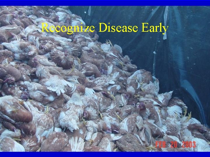 Recognize Disease Early 