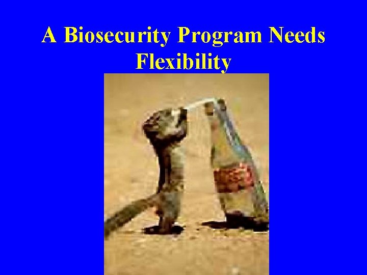 A Biosecurity Program Needs Flexibility 