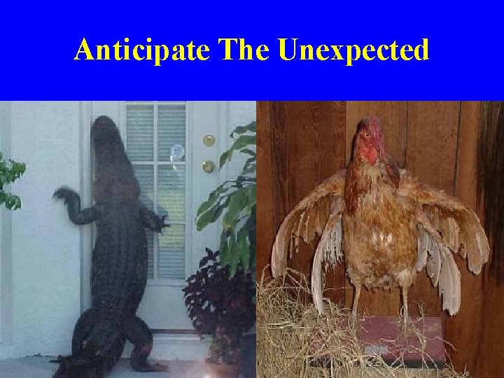 Anticipate The Unexpected 