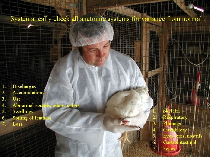 Systematically check all anatomic systems for variance from normal 1. 2. 3. 4. 5.