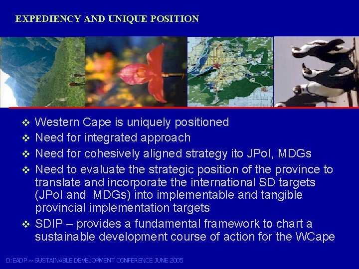 EXPEDIENCY AND UNIQUE POSITION v v v Western Cape is uniquely positioned Need for