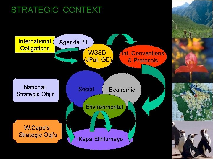 STRATEGIC CONTEXT FUNCTIONAL SUPPORT International Obligations National Strategic Obj’s Agenda 21 WSSD (JPo. I,