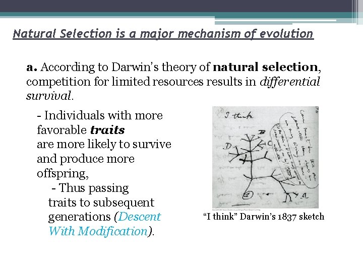 Natural Selection is a major mechanism of evolution a. According to Darwin’s theory of