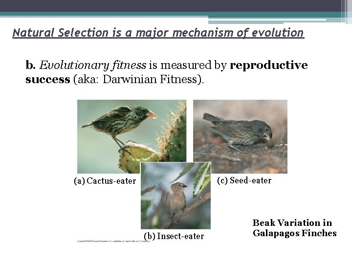 Natural Selection is a major mechanism of evolution b. Evolutionary fitness is measured by