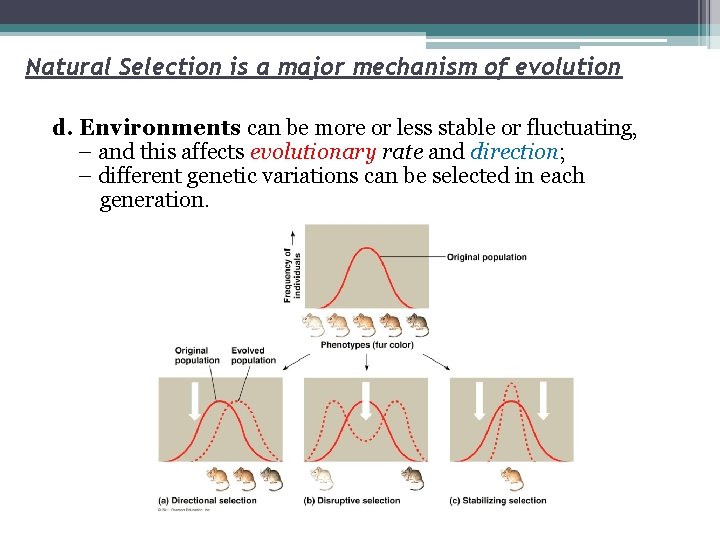 Natural Selection is a major mechanism of evolution d. Environments can be more or
