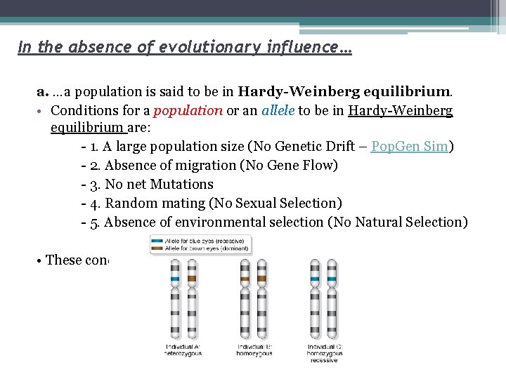 In the absence of evolutionary influence… a. …a population is said to be in