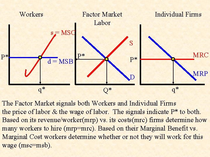 Workers Factor Market Labor Individual Firms s = MSC S P* d = MSB