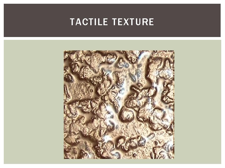 TACTILE TEXTURE 