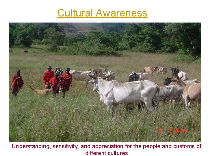 Cultural Awareness Understanding, sensitivity, and appreciation for the people and customs of different cultures Cultural Awareness Understanding, sensitivity, and appreciation for the people and customs of different cultures