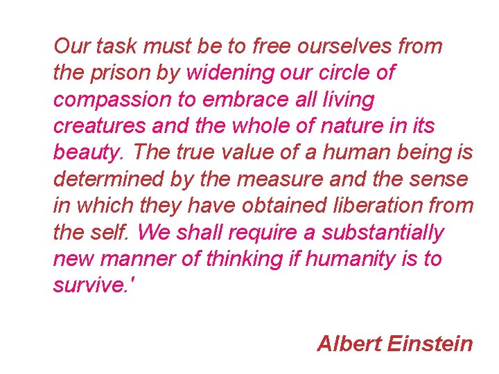 Our task must be to free ourselves from the prison by widening our circle Our task must be to free ourselves from the prison by widening our circle