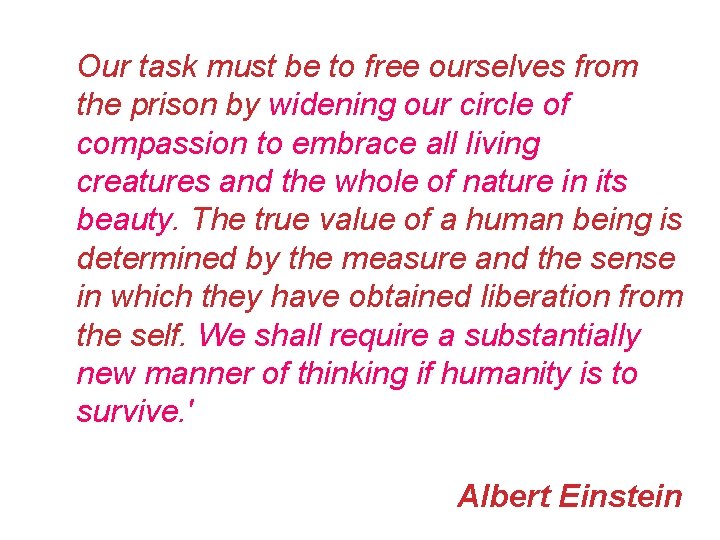 Our task must be to free ourselves from the prison by widening our circle