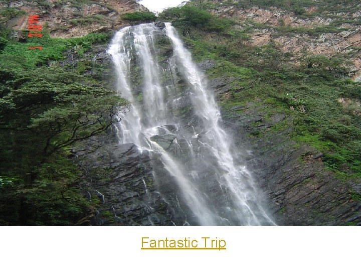 Fantastic Trip  Fantastic Trip