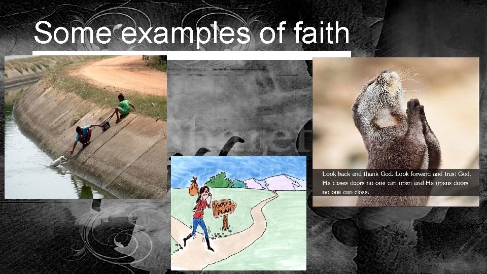Some examples of faith 