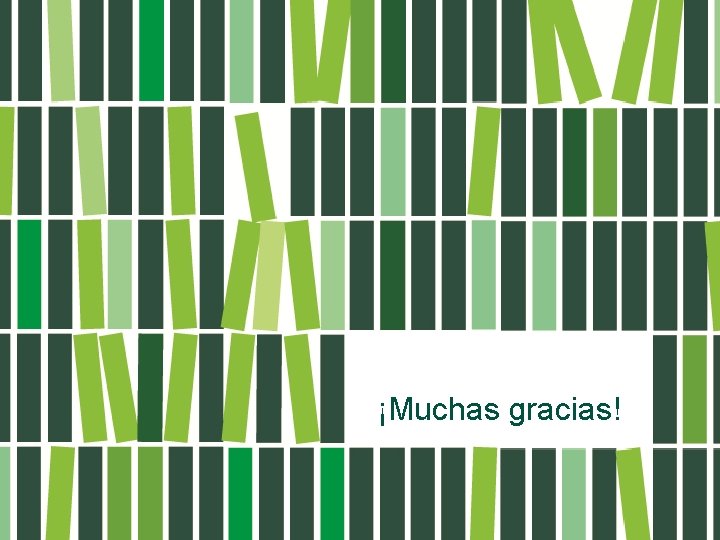 ¡Muchas gracias! 