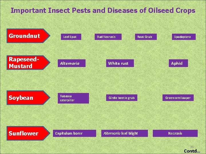 Important Insect Pests and Diseases of Oilseed Crops Groundnut Leaf Spot Rapeseed. Mustard Alternaria