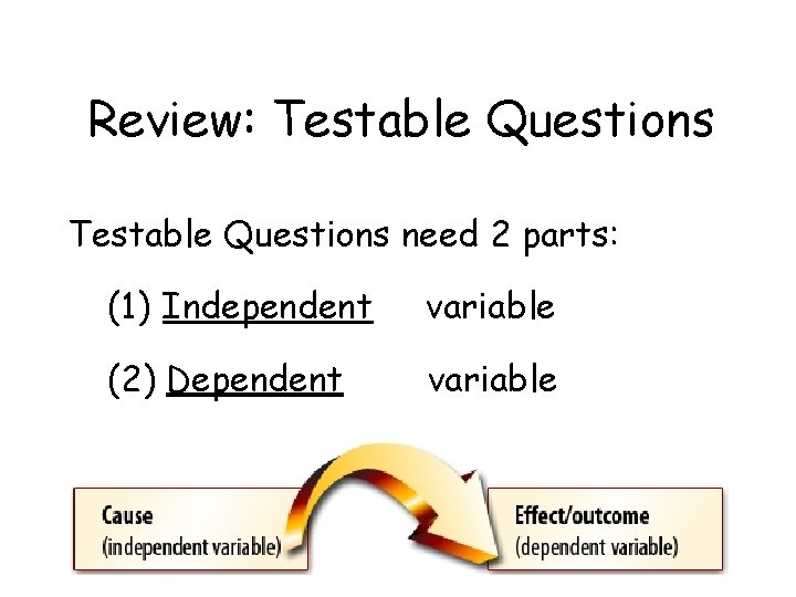 Review: Testable Questions need 2 parts: (1) Independent variable (2) Dependent variable 
