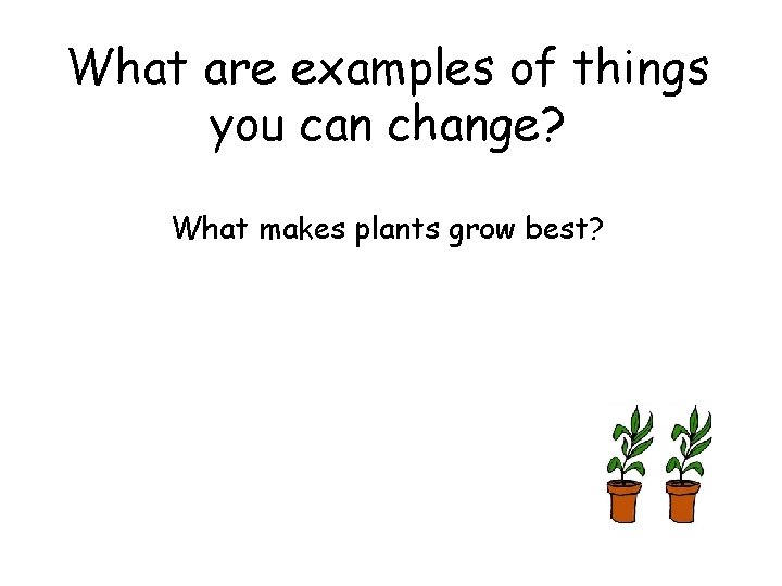 What are examples of things you can change? What makes plants grow best? 