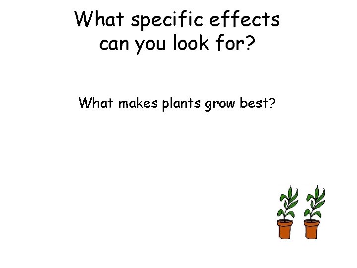 What specific effects can you look for? What makes plants grow best? 