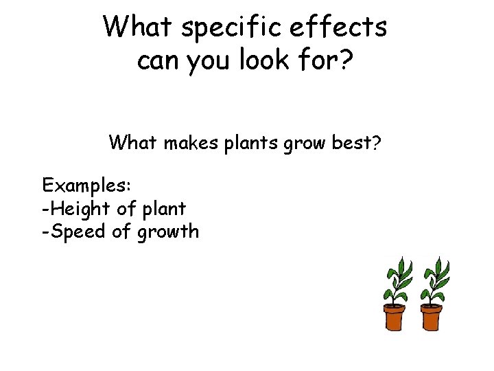 What specific effects can you look for? What makes plants grow best? Examples: -Height