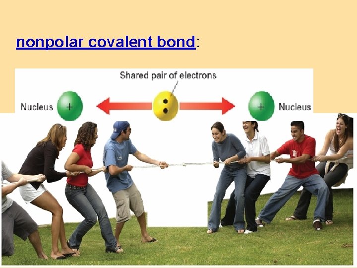 nonpolar covalent bond: 