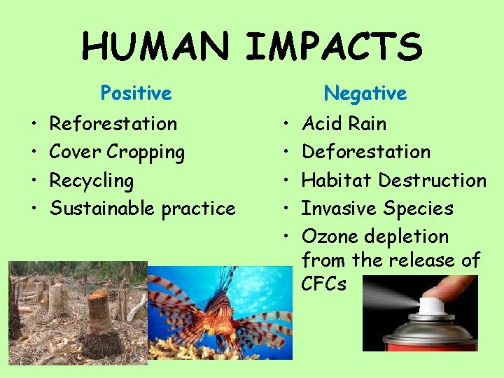 HUMAN IMPACTS Positive • • Reforestation Cover Cropping Recycling Sustainable practice Negative • •