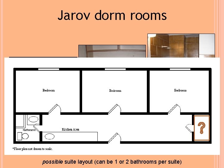 Jarov dorm rooms Bathroom: toilet, shower “Kitchenette” Bed, shelves, closet, desk possible suite layout