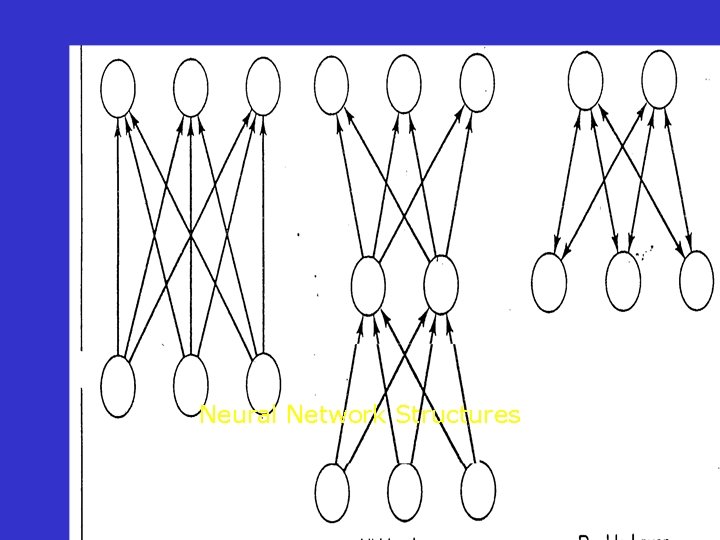 Neural Network Structures 