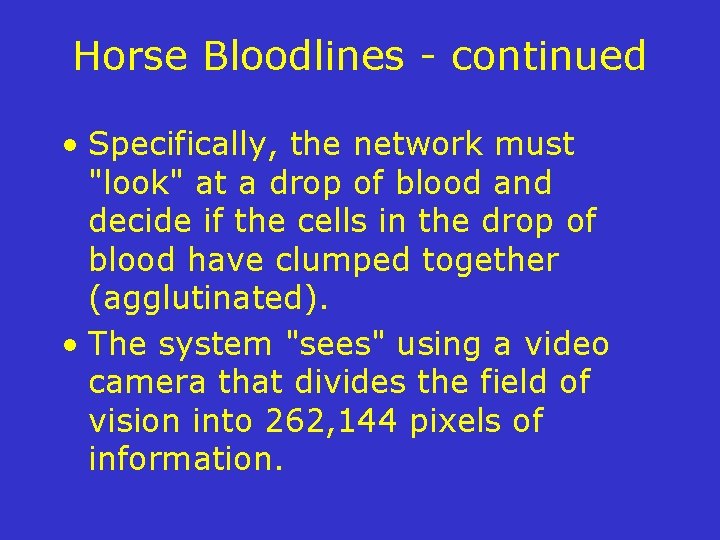 Horse Bloodlines - continued • Specifically, the network must "look" at a drop of